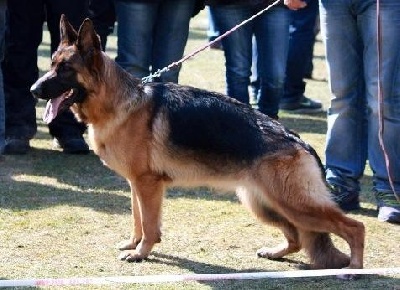 De Manatéa - Gnà gagne à Dormitz !!!