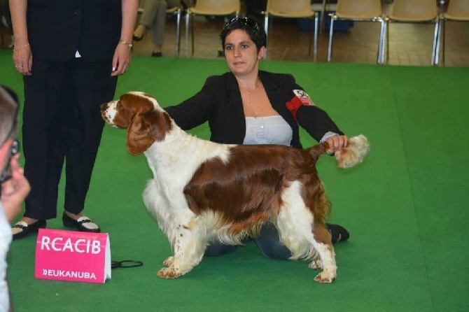 De Manatéa - Championnat de France Angers 2014