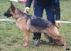  - Gnà du Beffroi du Boulonnais à Brignoles 