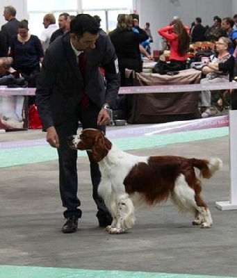 De Manatéa - Championnat de France SCC