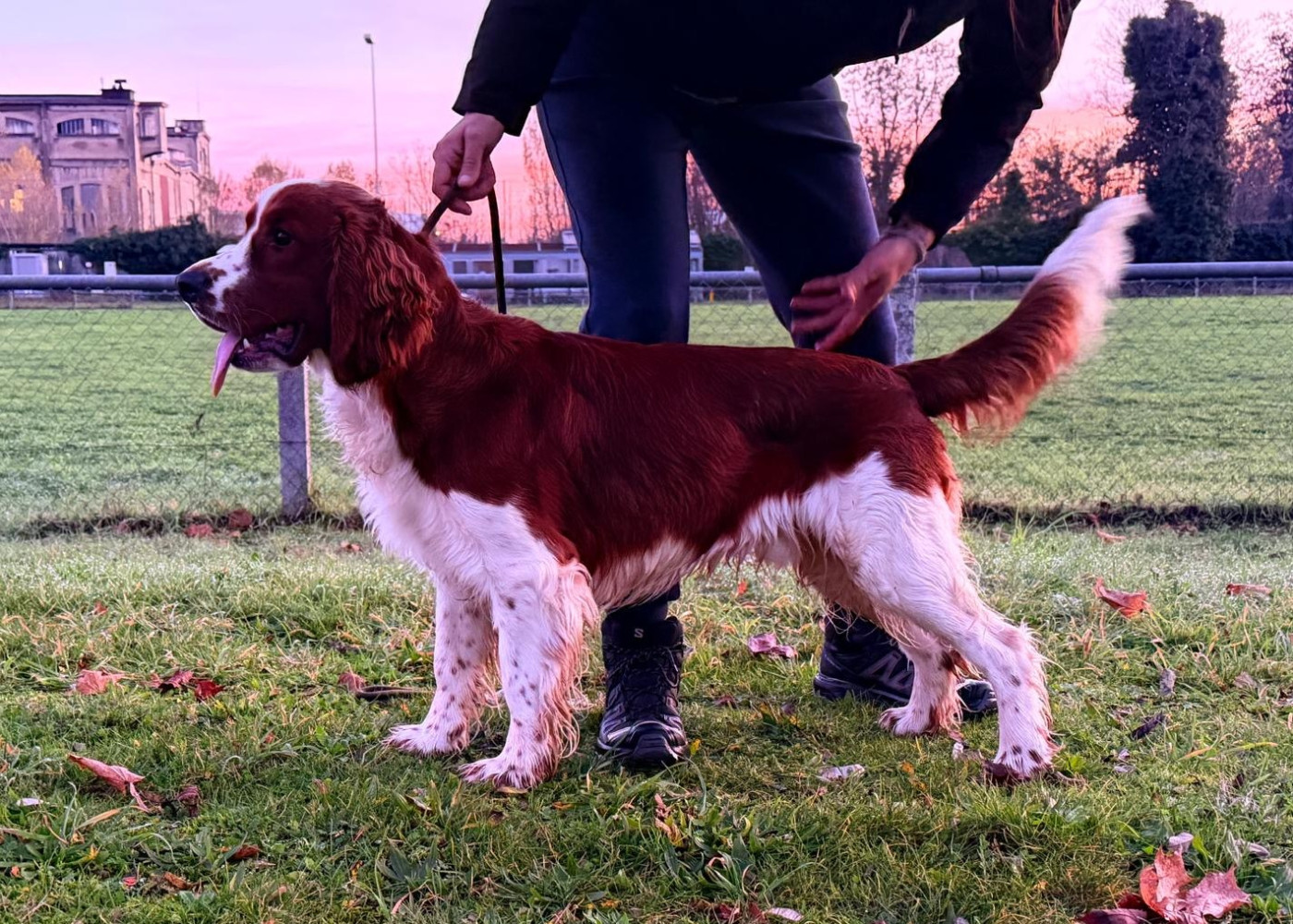 Notre beau Askimo Of Loving Star