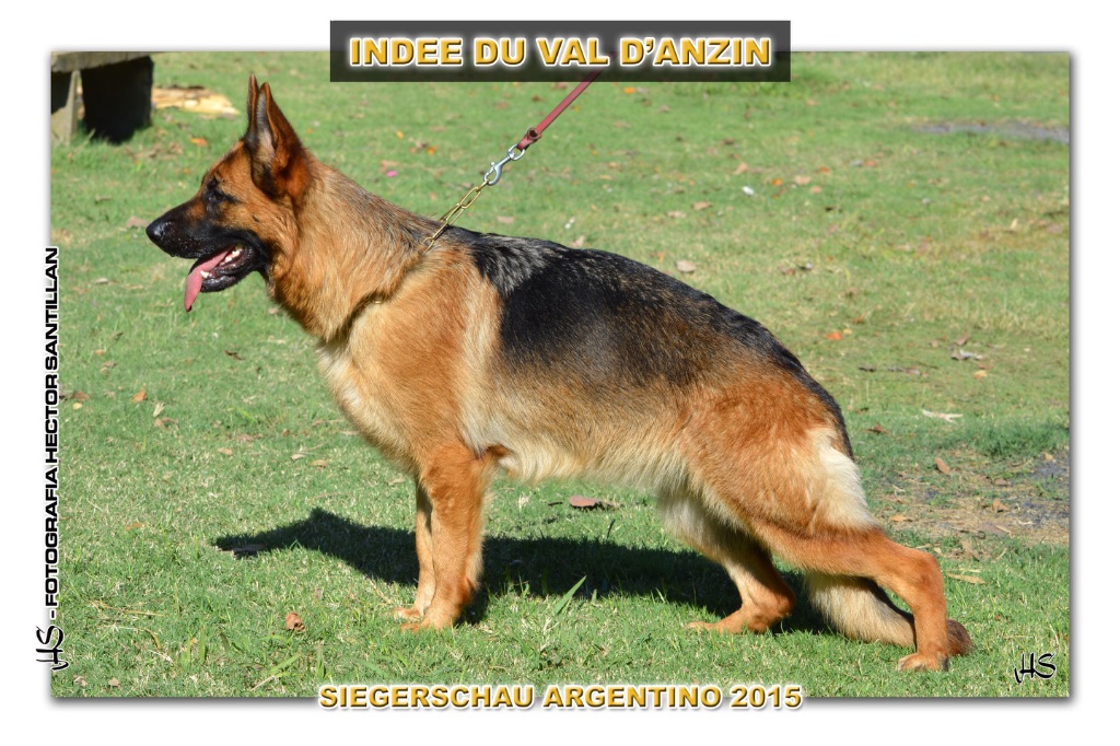 De Manatéa - Indee SG 10 au Championnat d'Argentine